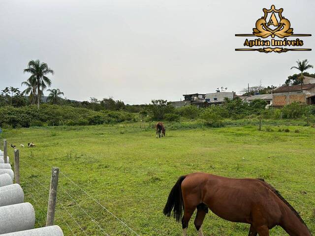 #1149 - Terreno para Venda em Penha - SC