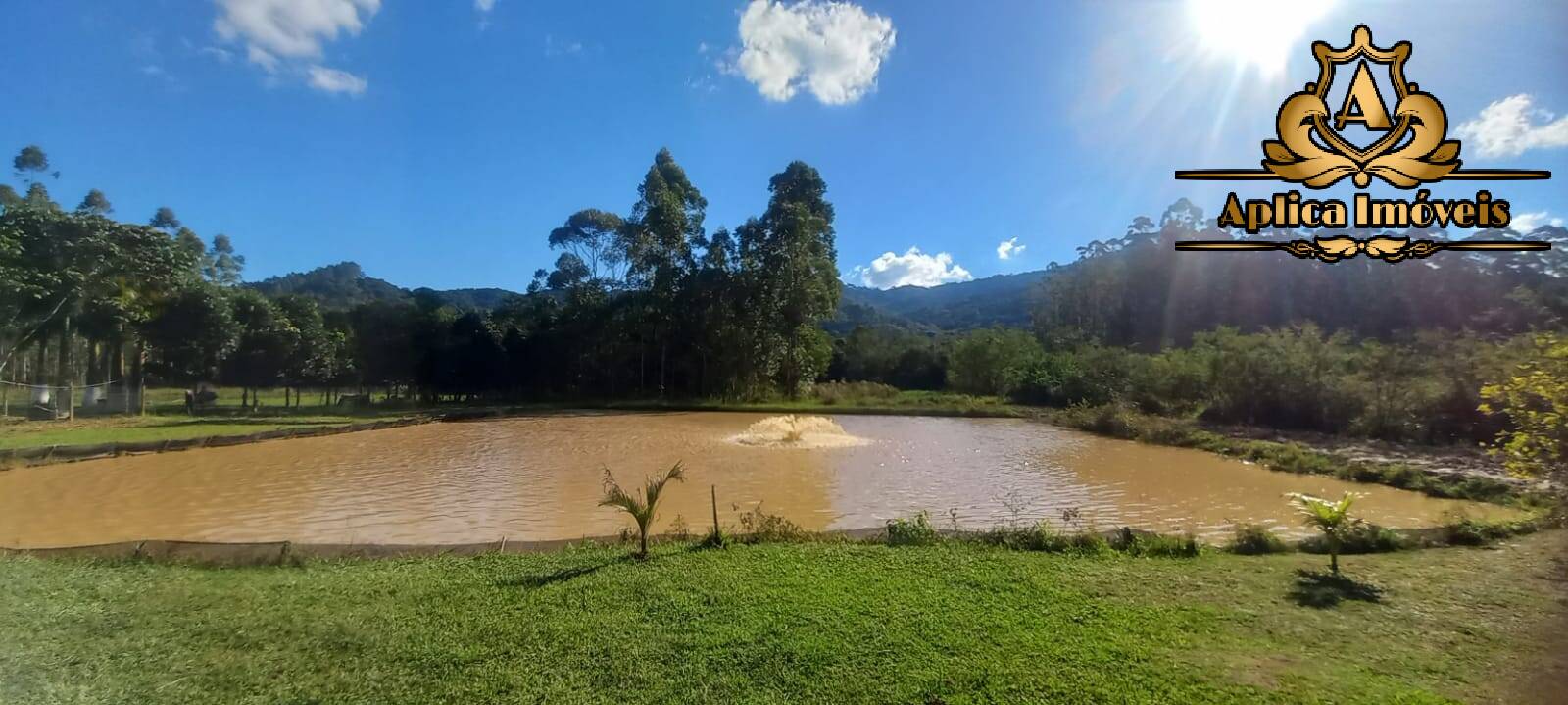 Fazenda à venda com 4 quartos, 180m² - Foto 26