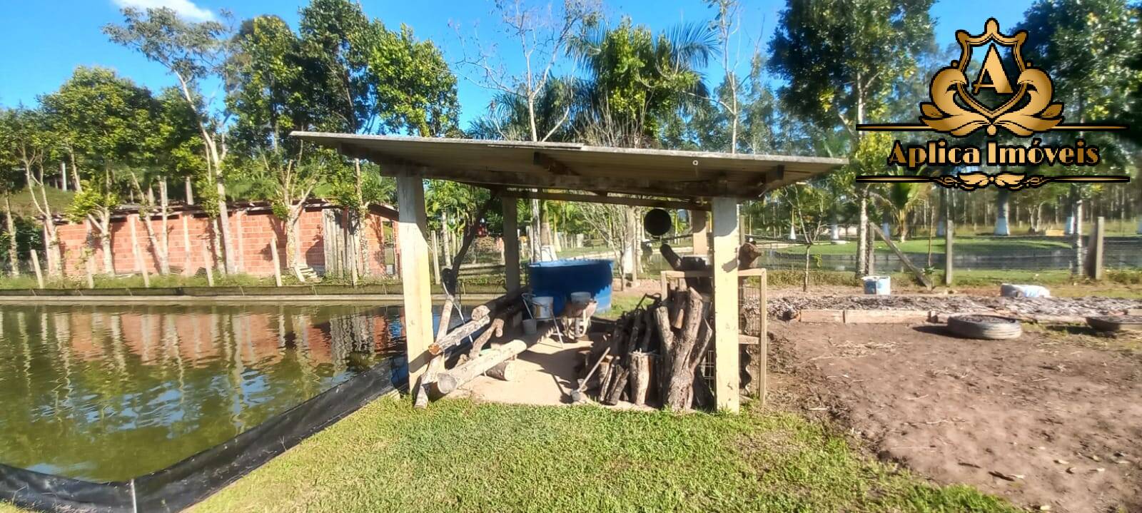 Fazenda à venda com 4 quartos, 180m² - Foto 18