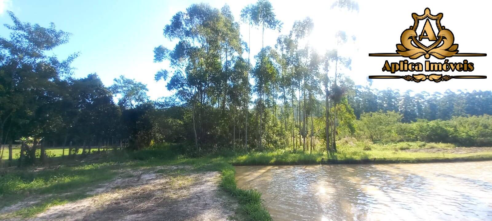 Fazenda à venda com 4 quartos, 180m² - Foto 27