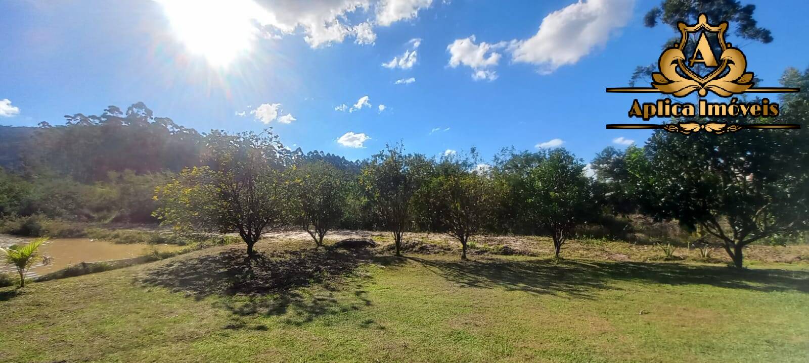 Fazenda à venda com 4 quartos, 180m² - Foto 30