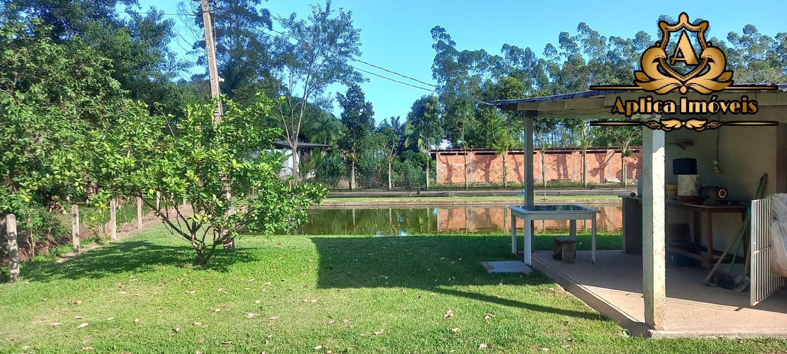 Fazenda à venda com 4 quartos, 180m² - Foto 23