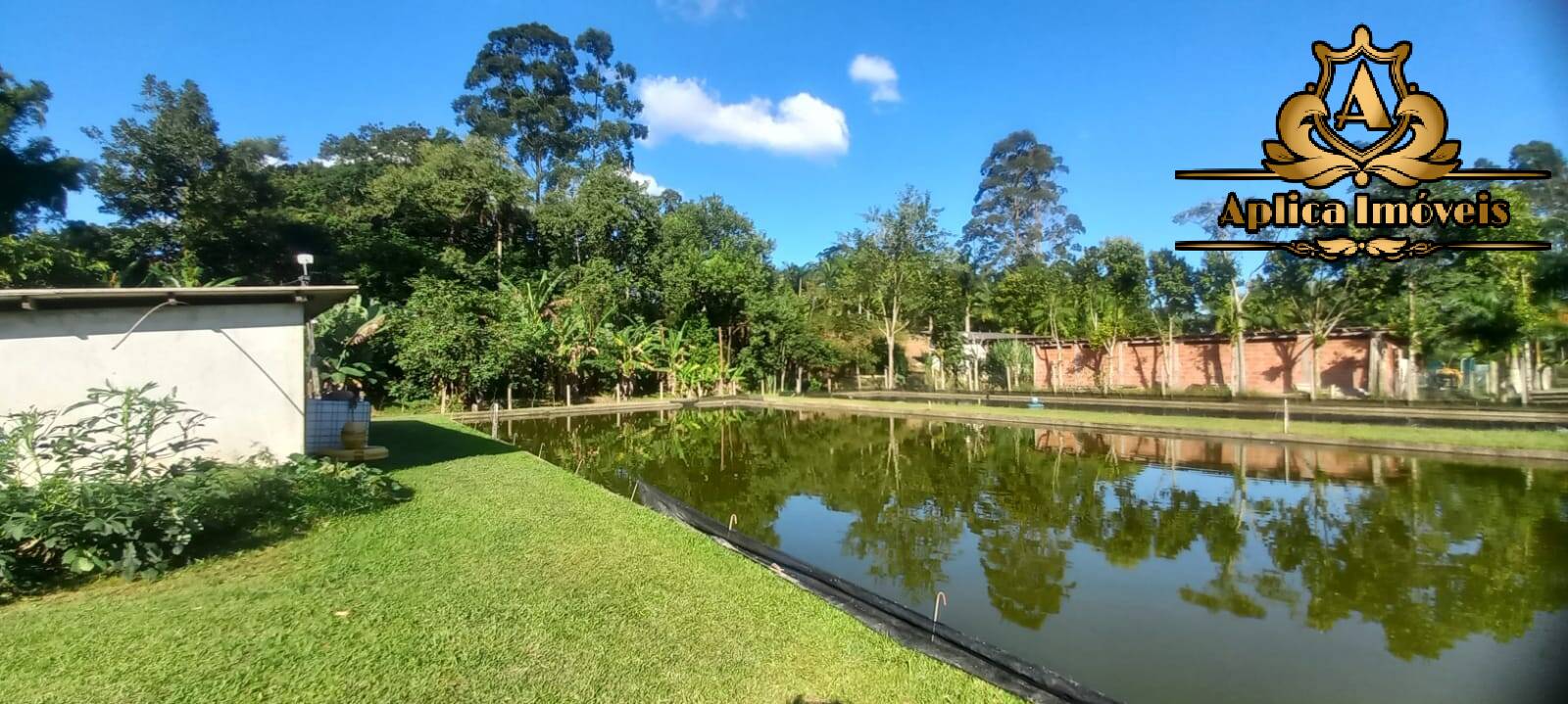 Fazenda à venda com 4 quartos, 180m² - Foto 22