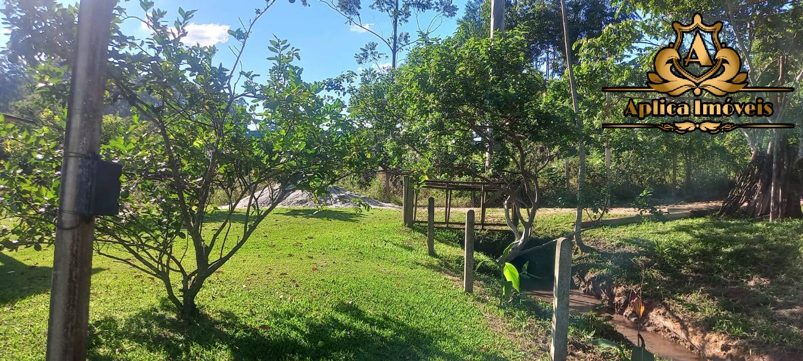 Fazenda à venda com 4 quartos, 180m² - Foto 29