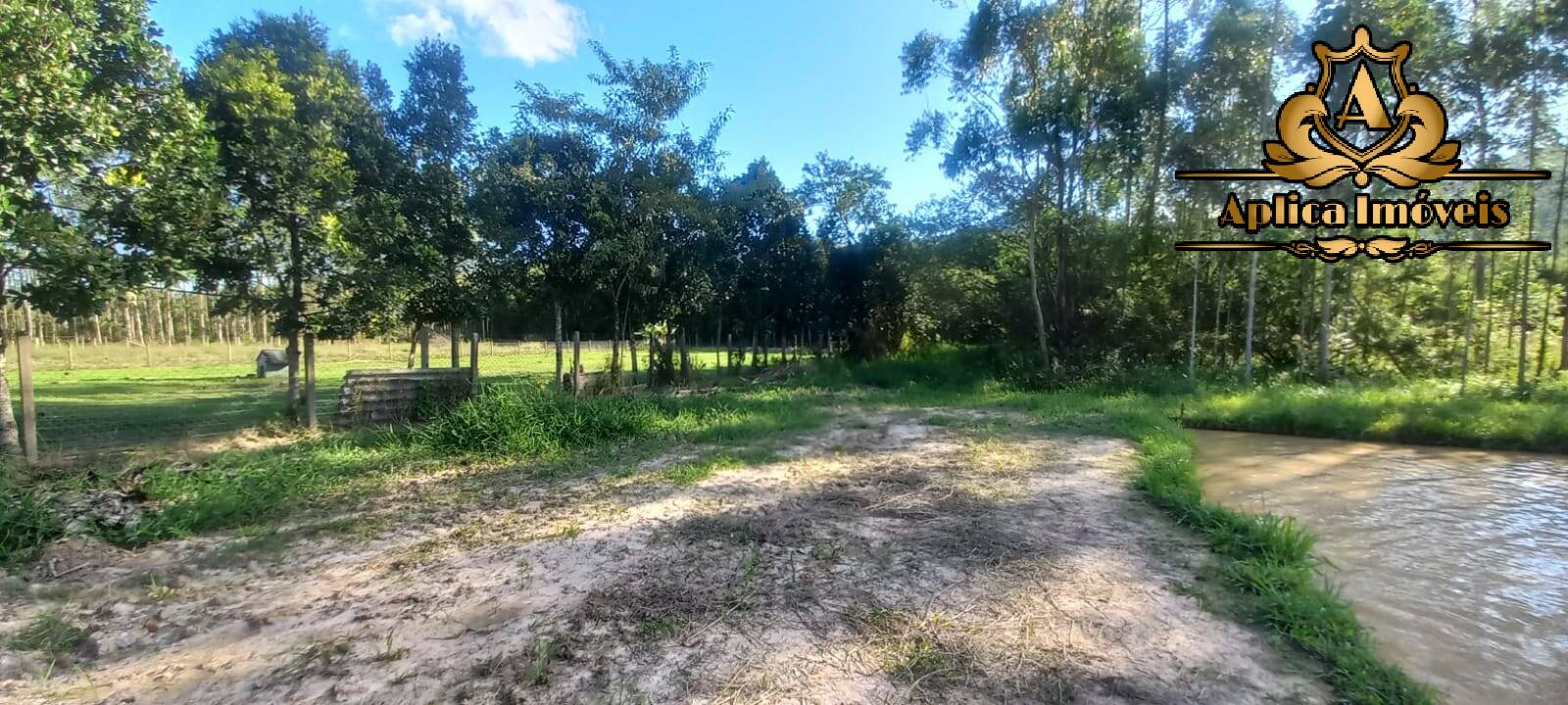 Fazenda à venda com 4 quartos, 180m² - Foto 33