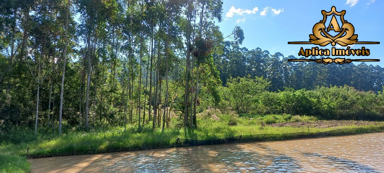 Fazenda à venda com 4 quartos, 180m² - Foto 28