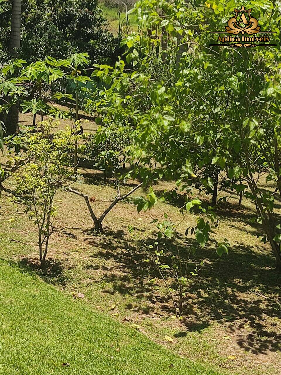 Fazenda à venda com 4 quartos, 180m² - Foto 14