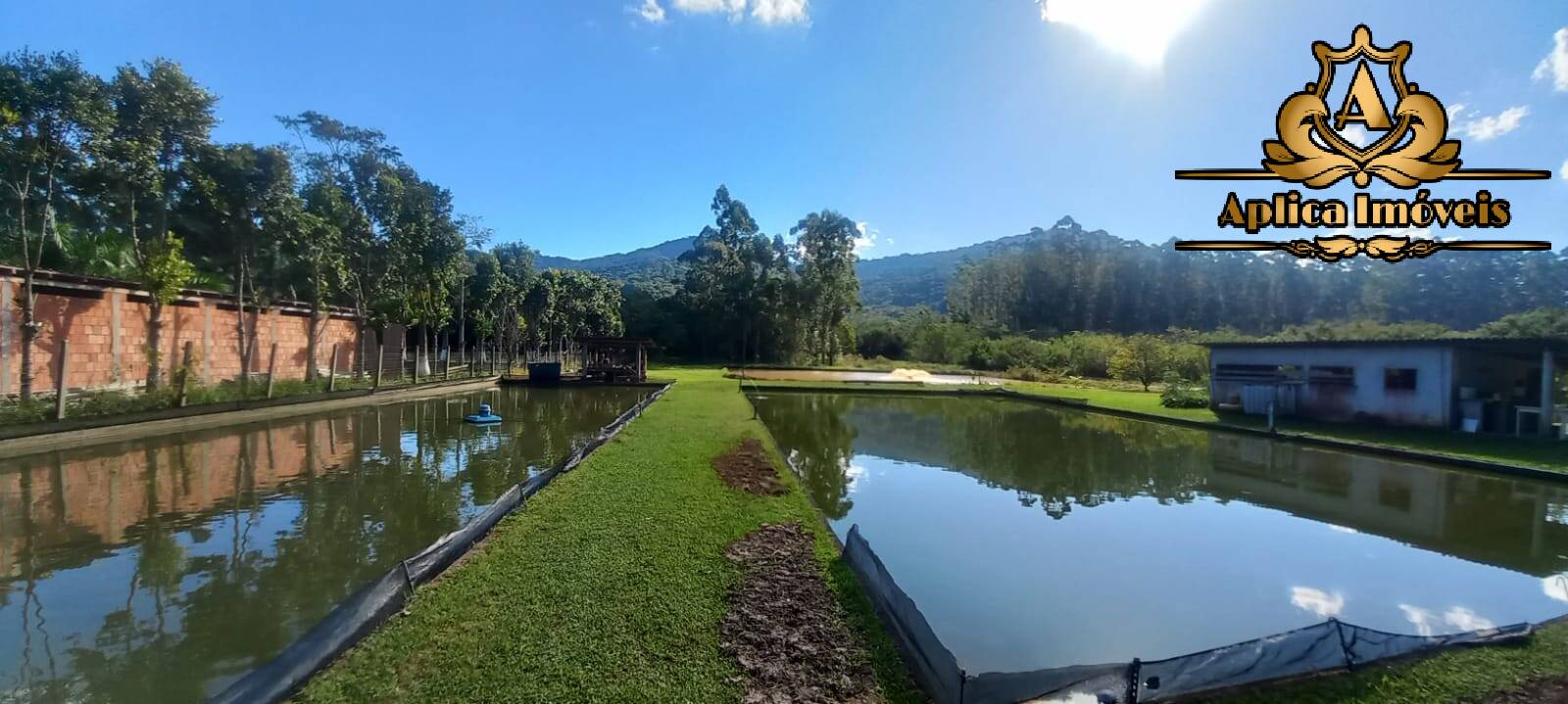 Fazenda à venda com 4 quartos, 180m² - Foto 21