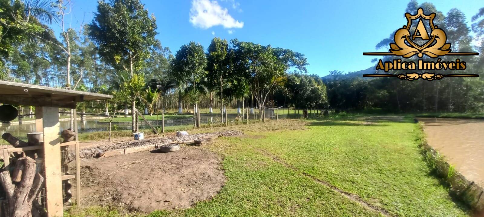 Fazenda à venda com 4 quartos, 180m² - Foto 35