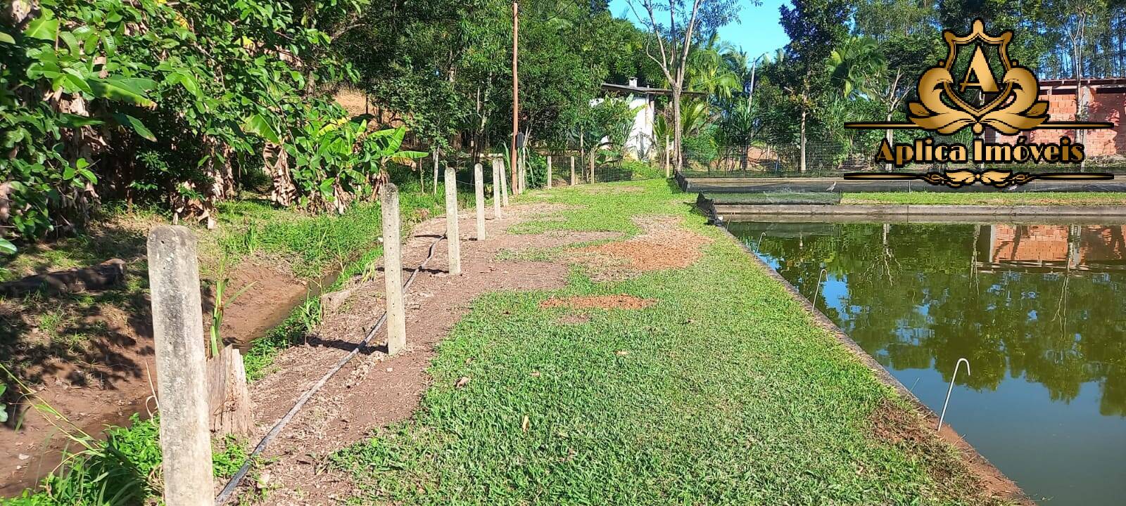 Fazenda à venda com 4 quartos, 180m² - Foto 24