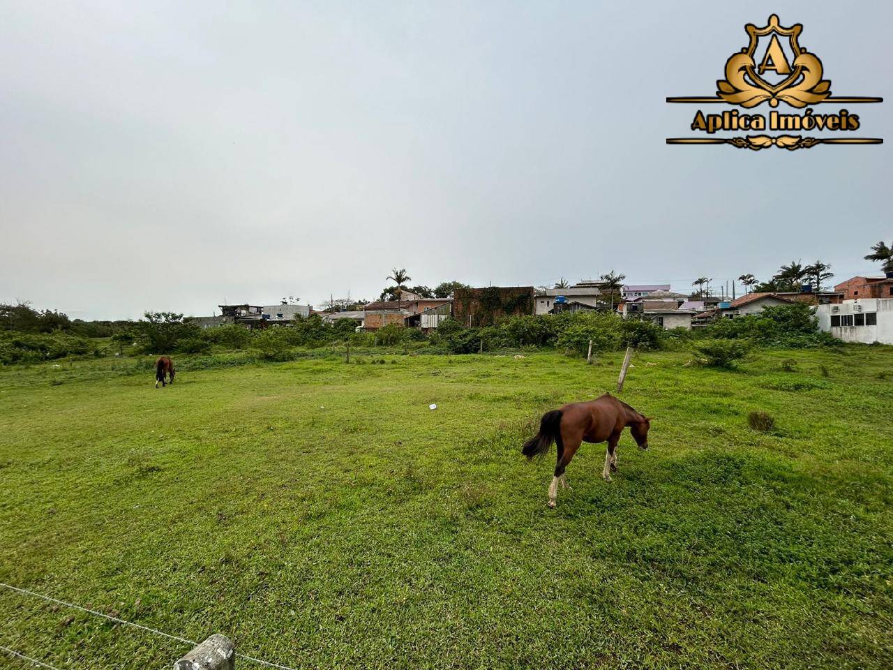 Terreno à venda, 2300m² - Foto 4